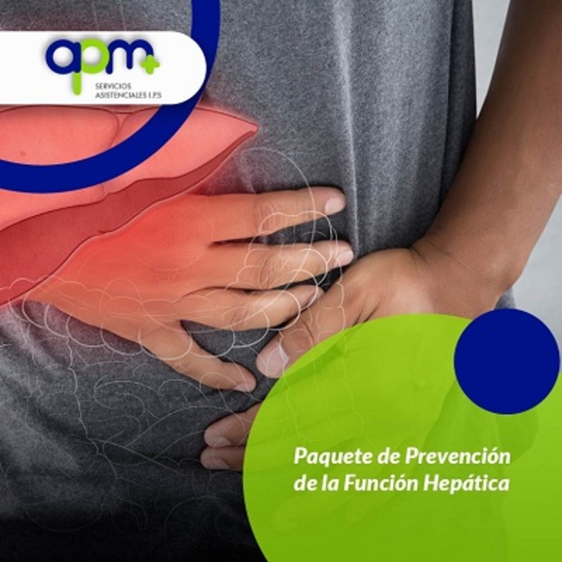 Función Hepática